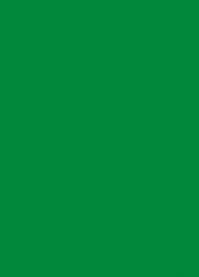 Фасады Фасад из акрила 062 Light green (Светло-зеленый) на заказ в Евпатории фотография