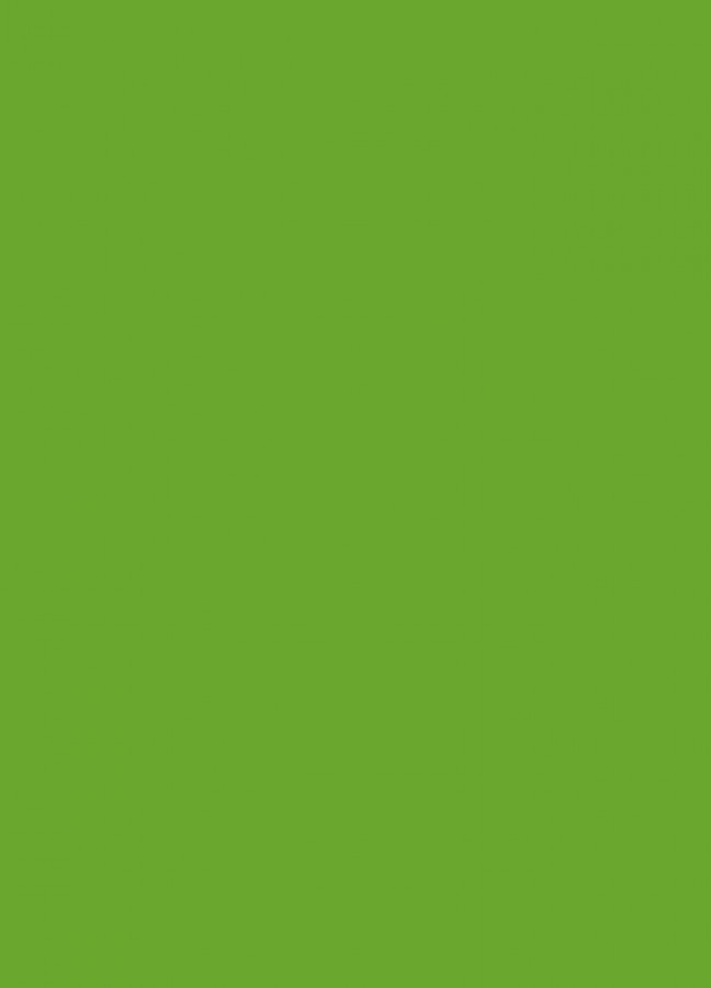 Фасады Фасад из акрила 063 Lime-tree green (Липово-зеленый) на заказ в Евпатории фотография