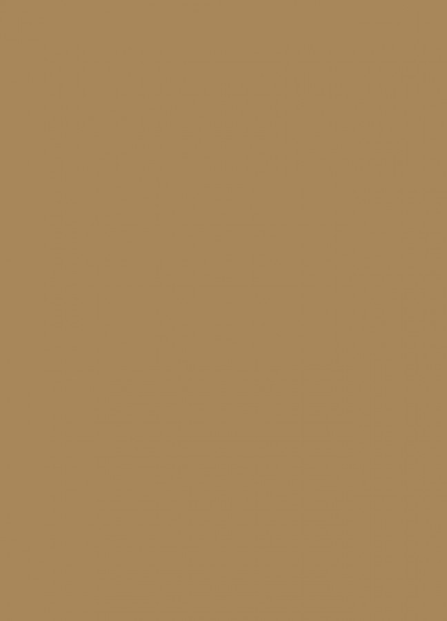 Фасады Фасад из акрила 081 Light brown (Светло-коричневый) на заказ в Евпатории фотография