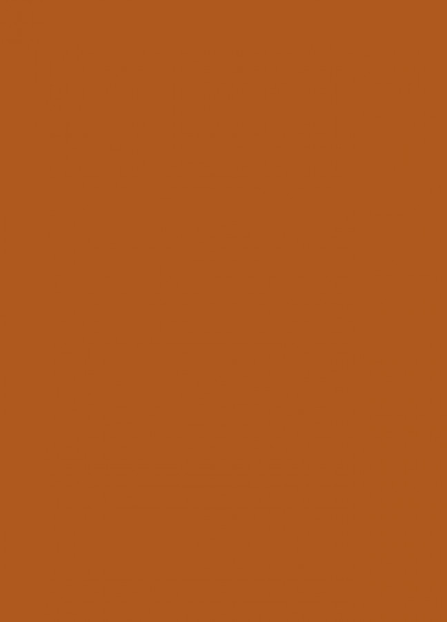 Фасады Фасад из акрила 083 Nut brown (Ореховый) на заказ в Евпатории фотография